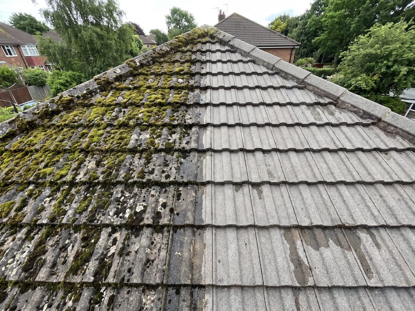 A tiled roof part-way through cleaning, with heavy moss on one side and clean grey tile on the other